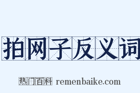 拍网子反义词是什么意思的图片